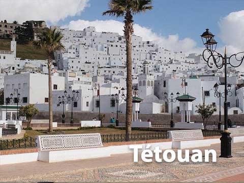 Référencement naturel à Tétouan